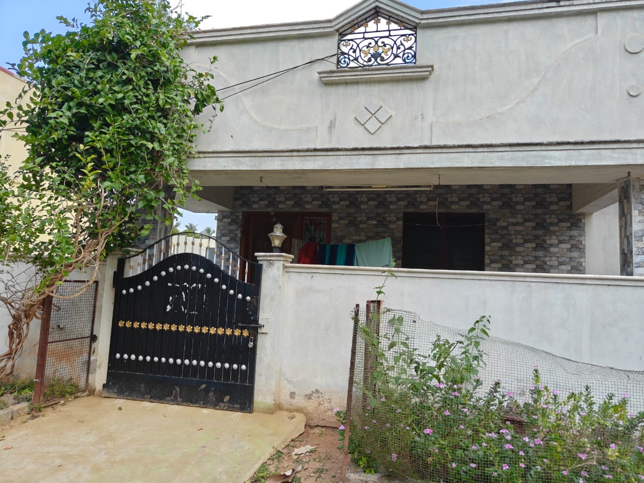 Individual House